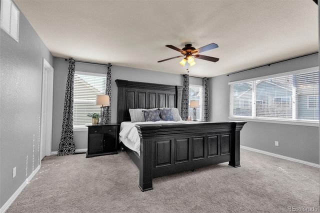 3623 Desert Ridge Place, Castle Rock, CO 80108