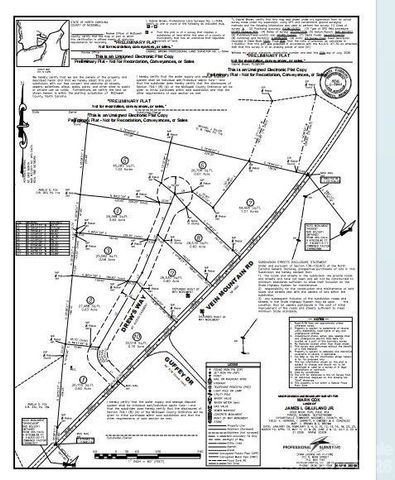 tbd Vein Mountain Way 1, Dysartsville, NC 28761