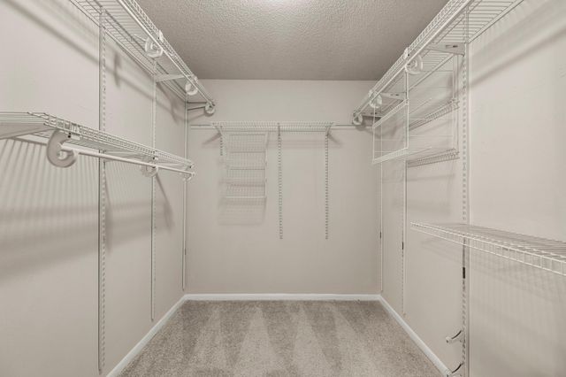 6910 Norvara Trail, Spring, TX 77379