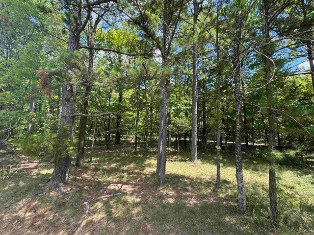 4004 Brock Road, Clinton, AR 72031