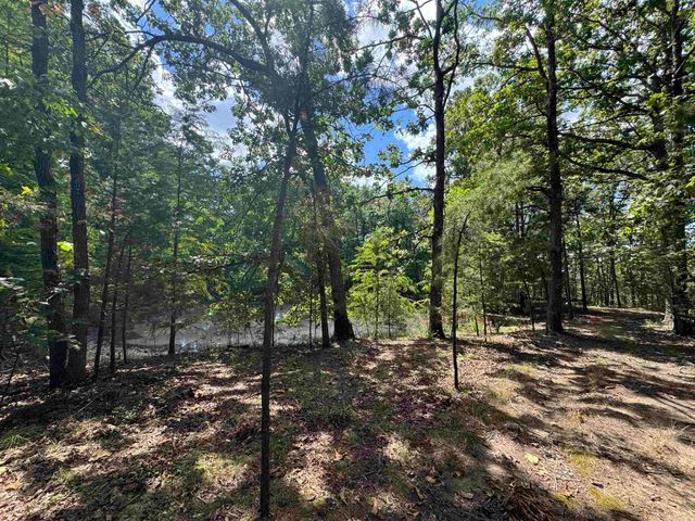 4004 Brock Road, Clinton, AR 72031