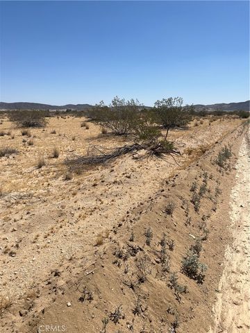 0 Division, Joshua Tree, CA 92252