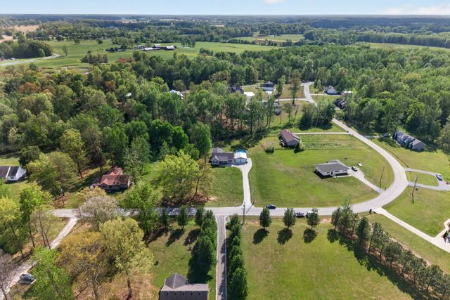 253 Spring Meadows Ln, Morrison, TN 37357