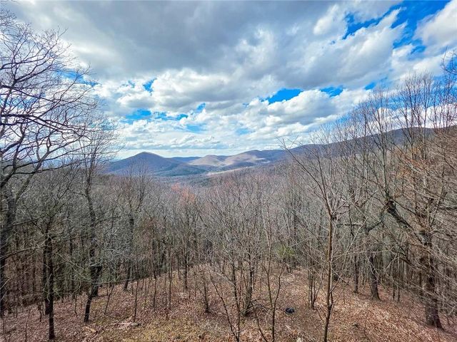 1397 Chestnut Cove Trail, Jasper, GA 30143