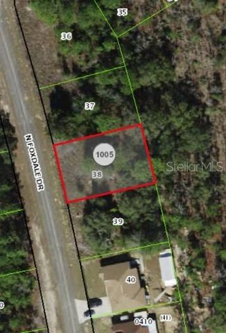 7095 N FOXDALE DRIVE, Citrus Springs, FL 34434