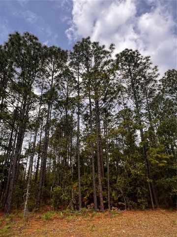 7095 N FOXDALE DRIVE, Citrus Springs, FL 34434