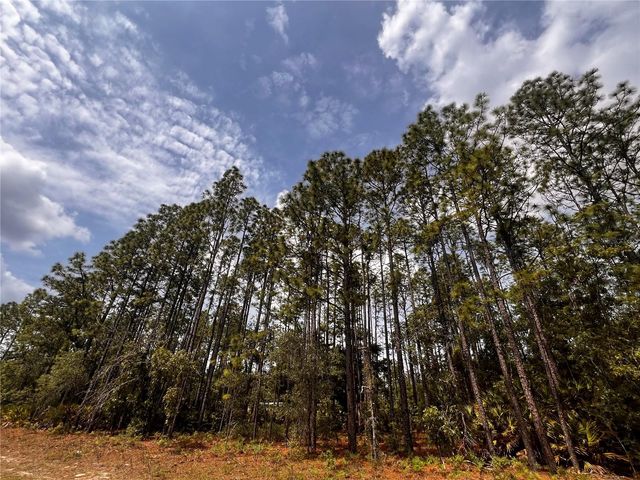 7095 N FOXDALE DRIVE, Citrus Springs, FL 34434