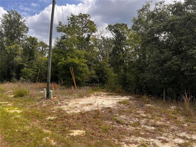 7095 N FOXDALE DRIVE, Citrus Springs, FL 34434