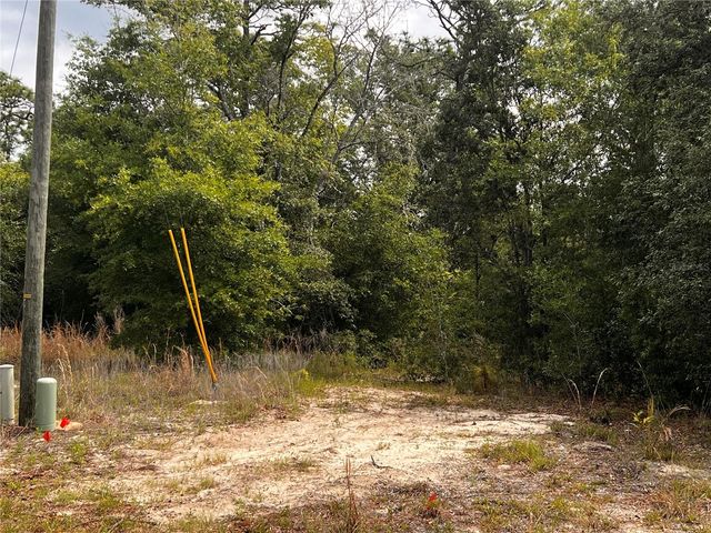 7095 N FOXDALE DRIVE, Citrus Springs, FL 34434