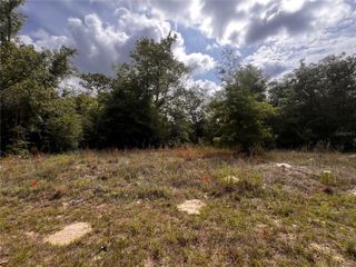 7095 N FOXDALE DRIVE, Citrus Springs, FL 34434
