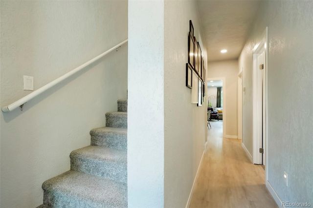 517 Locust Street, Windsor, CO 80550