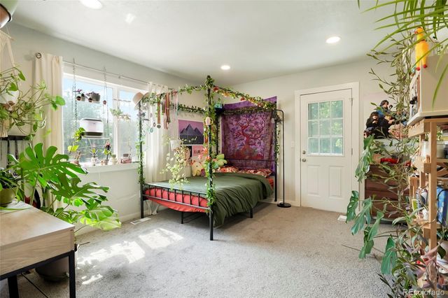 517 Locust Street, Windsor, CO 80550