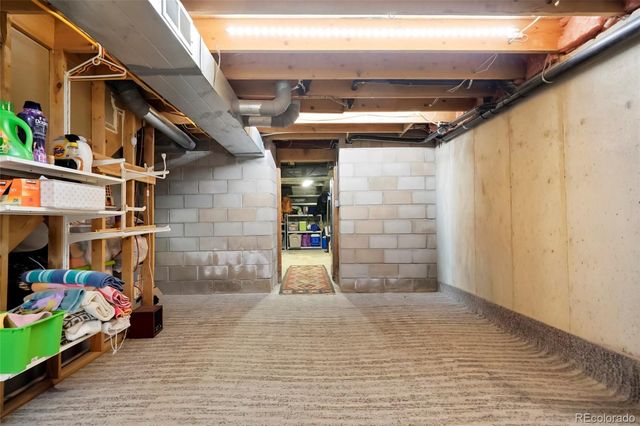 517 Locust Street, Windsor, CO 80550