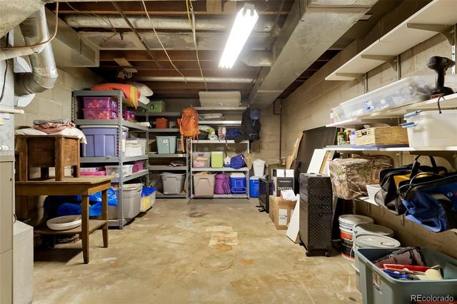 517 Locust Street, Windsor, CO 80550