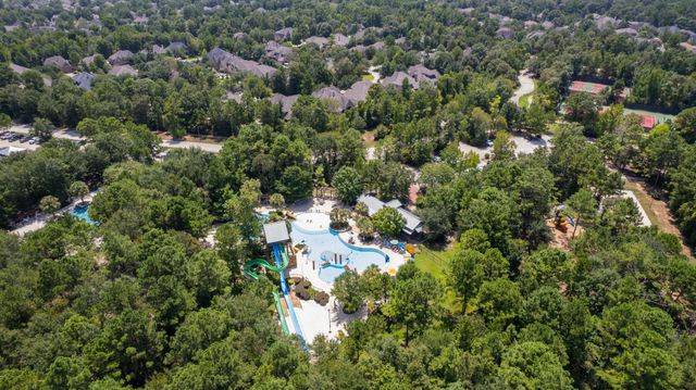 223 S Empress Green Place, Montgomery, TX 77316