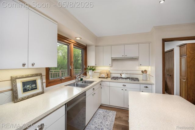 20419 Woodcreek Boulevard, Northville Township, MI 48167