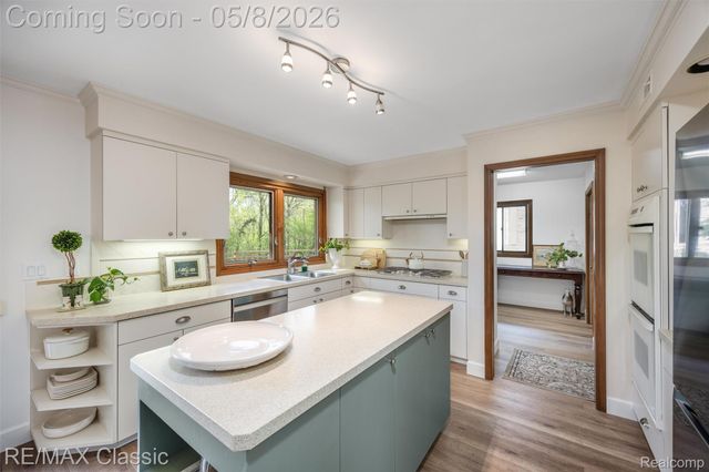 20419 Woodcreek Boulevard, Northville Township, MI 48167