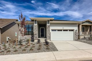 494 Basin Daisy Street, Castle Rock, CO 80104