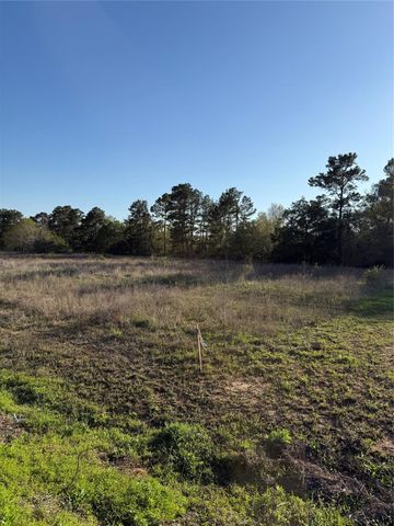 9480 Cedar Creek Lane, Plantersville, TX 77363