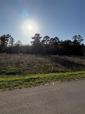 9480 Cedar Creek Lane, Plantersville, TX 77363