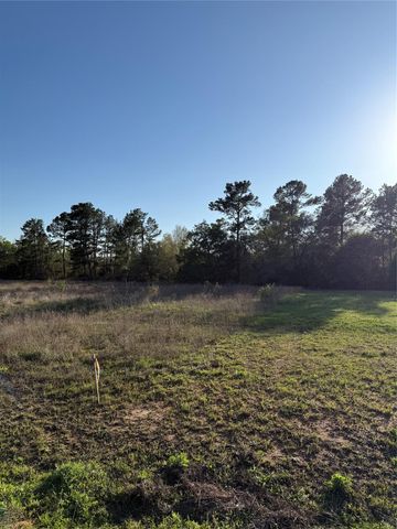 9480 Cedar Creek Lane, Plantersville, TX 77363