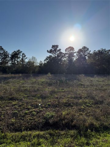 9480 Cedar Creek Lane, Plantersville, TX 77363