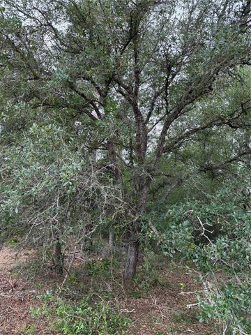 9480 Cedar Creek Lane, Plantersville, TX 77363