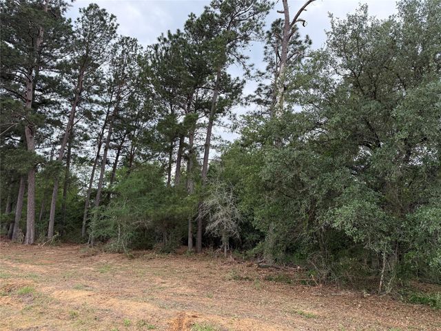 9480 Cedar Creek Lane, Plantersville, TX 77363