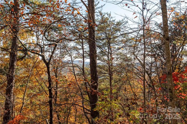 2355 Round Mountain Road, Brevard, NC 28712