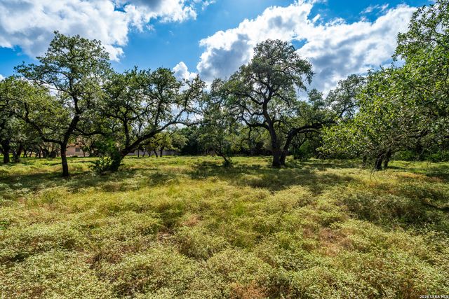 23407 Osceola Blf, San Antonio, TX 78261