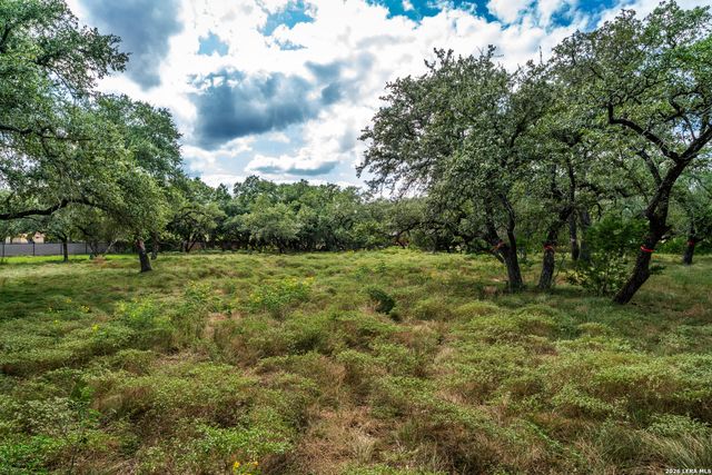 23407 Osceola Blf, San Antonio, TX 78261