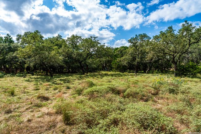 23407 Osceola Blf, San Antonio, TX 78261