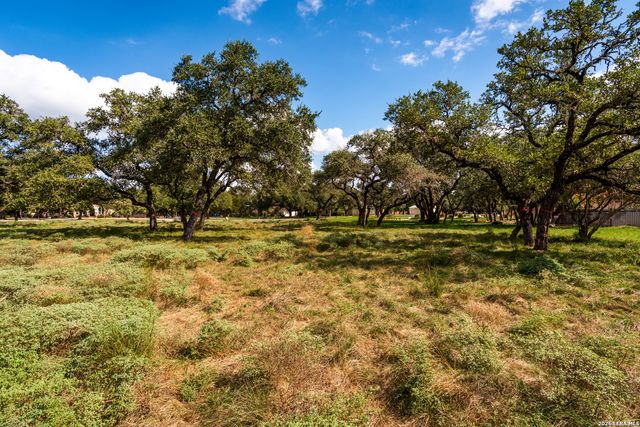 23407 Osceola Blf, San Antonio, TX 78261