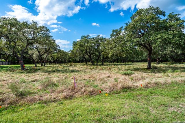 23407 Osceola Blf, San Antonio, TX 78261
