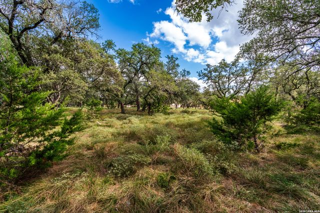 23407 Osceola Blf, San Antonio, TX 78261
