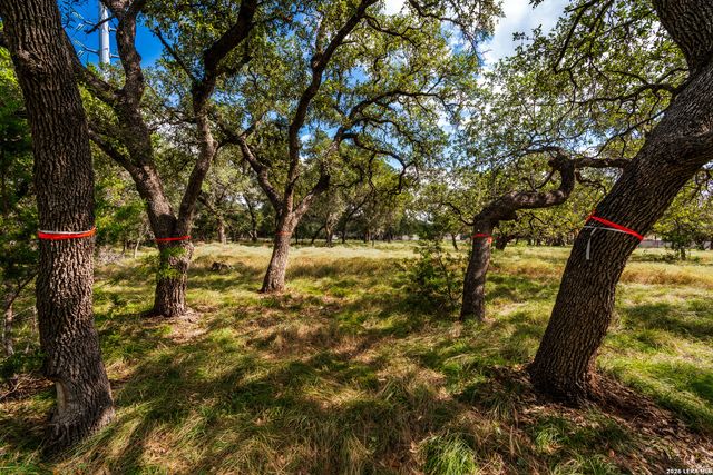 23407 Osceola Blf, San Antonio, TX 78261