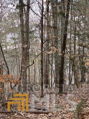 0 Bluff Road, Elberton, GA 30635