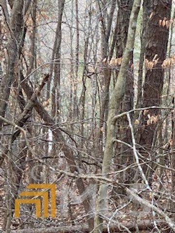 0 Bluff Road, Elberton, GA 30635