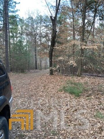 0 Bluff Road, Elberton, GA 30635