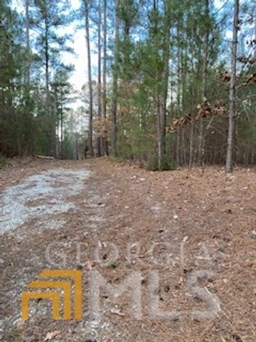 0 Bluff Road, Elberton, GA 30635