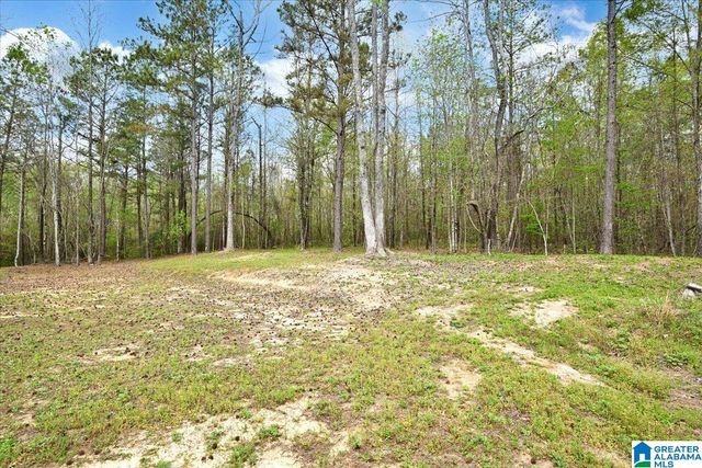 3349 WHITE ROAD, Dora, AL 35062