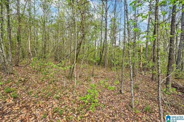 3349 WHITE ROAD, Dora, AL 35062