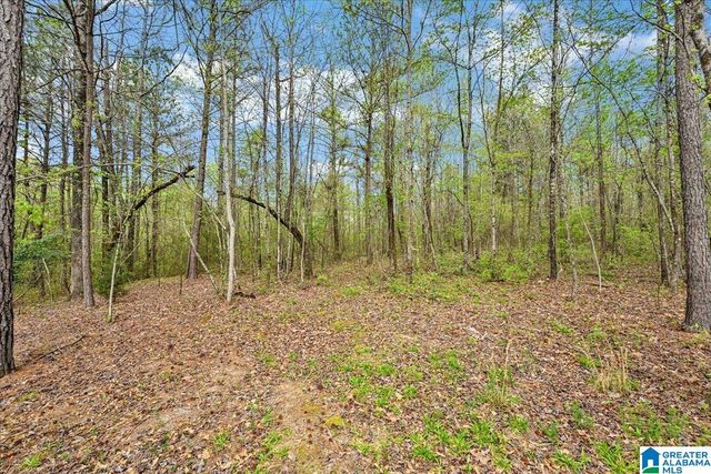 3349 WHITE ROAD, Dora, AL 35062