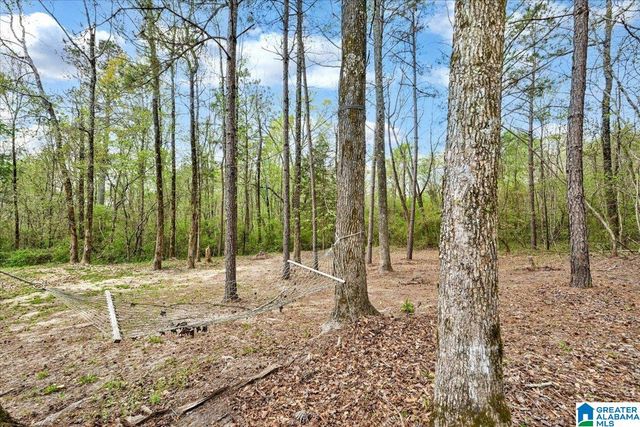 3349 WHITE ROAD, Dora, AL 35062