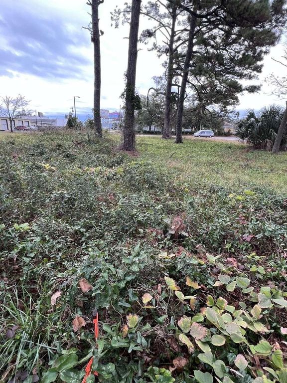Lot 4 Alder St., Myrtle Beach, SC 29577 — photo 2
