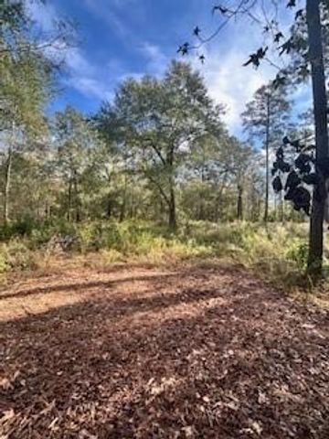 480 County Road 3188, Cleveland, TX 77327