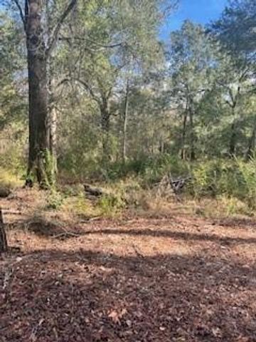 480 County Road 3188, Cleveland, TX 77327