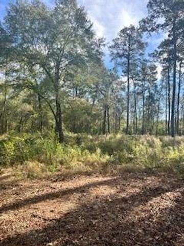 480 County Road 3188, Cleveland, TX 77327