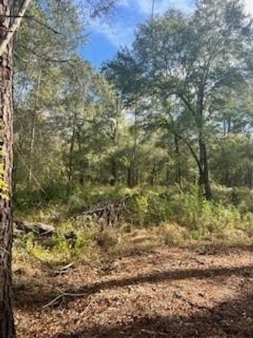 480 County Road 3188, Cleveland, TX 77327