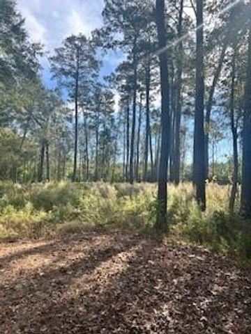 480 County Road 3188, Cleveland, TX 77327